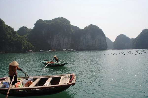 Vietnam bay